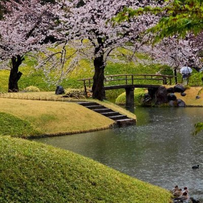 WangWeiteng867's profile picture. 生活在陽光下，暢遊大海，呼吸野外的空氣