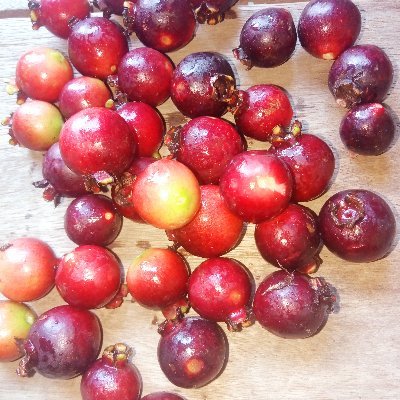 eunicea1000's profile picture. My ministry|•|My life|•|
Born|•|Again