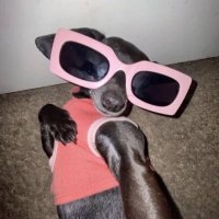 유고걸 (@tomatoredmydog) 's Twitter Profile Photo 유고걸 (@tomatoredmydog) 's Twitter Profile Photo