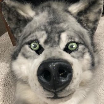 🐺 Dakota The Wusky 🎧 DJ / Producer | Furry Creator ✨ Chaos, Floof & Music Vibes 📍 ATL ↔ FL | Level 21