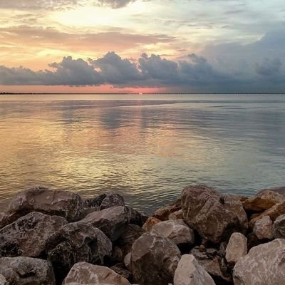 maioohmyyy's profile picture. SOL