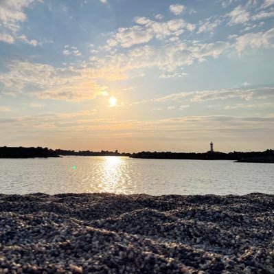 non_ymgt's profile picture. 山形 清潔感ある人がすきです。まめに返信とかできないタイプです。基本DM返しません。たまーに返す時ありますが気分です。