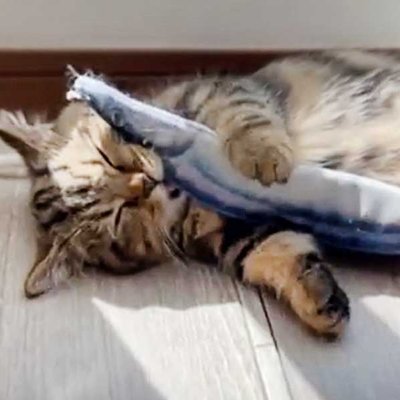 haba_hiroko's profile picture. 50歳・愛知在住・元建築士｜原因不明の難病治療中｜在宅で出来る負担のない収入源と出会う｜それがこの自動売買(EA)😊｜自分の代わりに働いてくれる大事な相棒｜治療代と老後の蓄え

↓自動売買(EA無料)詳しくはこちらから↓