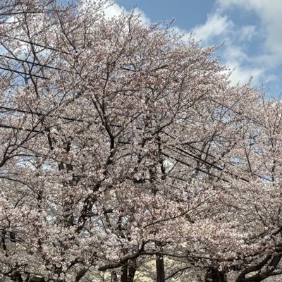 shinobu_9717's profile picture. 物心ついた時からDID癖がありSMもするようになりました。ぐり100、緊縛は楽しく続けていきます🐸