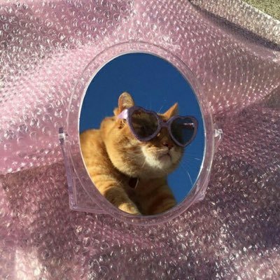 _mybluespring's profile picture. 9.5割独り言の無益な事しか呟かないアカウントはこちらです