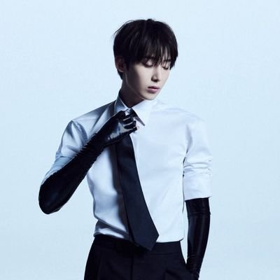 SofiaAbay's profile picture. 