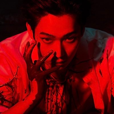 nsfw 🔞 // 20+ // non-shippers & minors dni // block if uncomfy // writing acc // your gateway to darkness 🍒