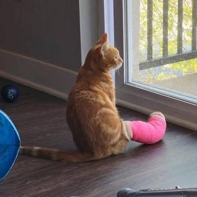 Harry_03x95's profile picture. @Kuvilabs