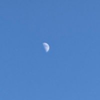 원 (@circle_eui) 's Twitter Profile