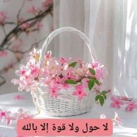افهد (@hasanbasir1) 's Twitter Profile