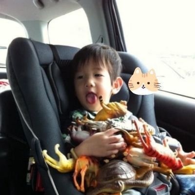 sponge_fong's profile picture. 