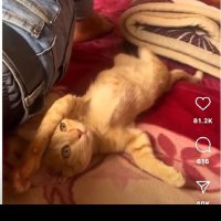 DOth Shine (@dothdoth5) 's Twitter Profile