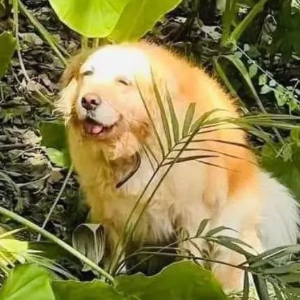 qrtpsd's profile picture. 성인 9n