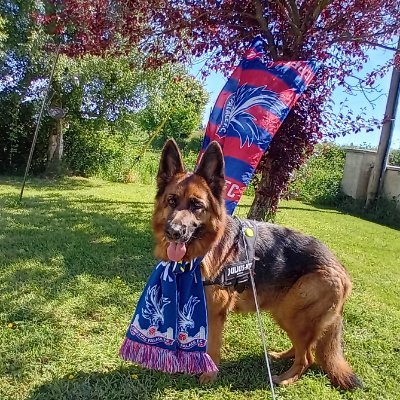 CarmelBreen27's profile picture. 
