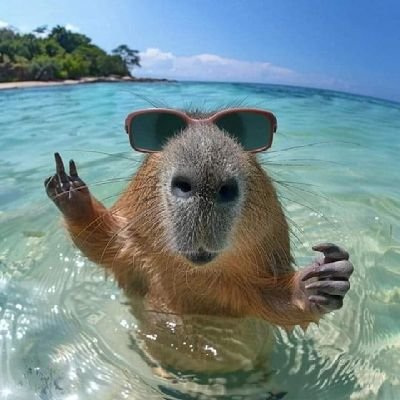 zurix41's profile picture. เป็นผู้ชายนะครับ 😊