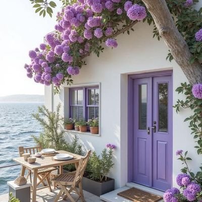 asmamoh23144657's profile picture. رومنسي جدا وبنفس الوقت نياك زبي كبير ويريحك سوا كنت سالب او بنت او عائله متحرره