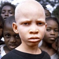 ≠ (@fflippaa) 's Twitter Profile Photo