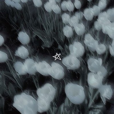 hm56927956841's profile picture. 