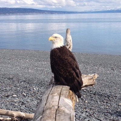 RebeccaWri47924's profile picture. 