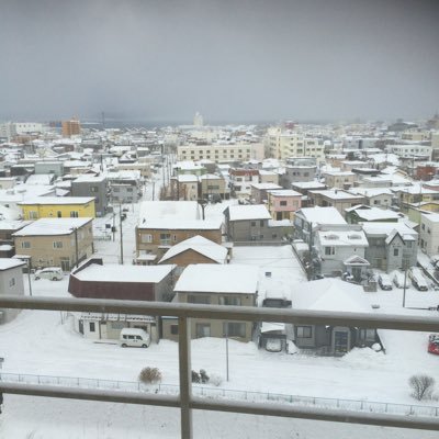 北の国出身。関東在住。子供達も独り立ち。全員、非医師&国外へ。寂しくもあり、嬉しくもあり。子供達に負けず、私も英語の勉強を昨年から開始。