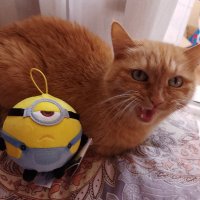 Flofi (@lilorishka) 's Twitter Profile Photo Flofi (@lilorishka) 's Twitter Profile Photo
