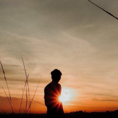 wayoona2's profile picture. #stonks