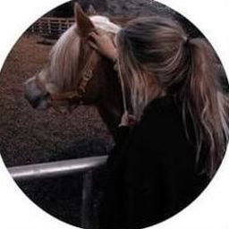 Wuiboo7753603's profile picture. 