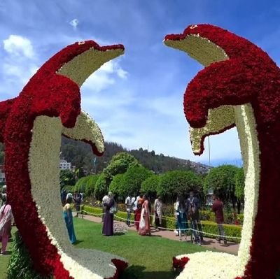 SGopi37544650's profile picture. 