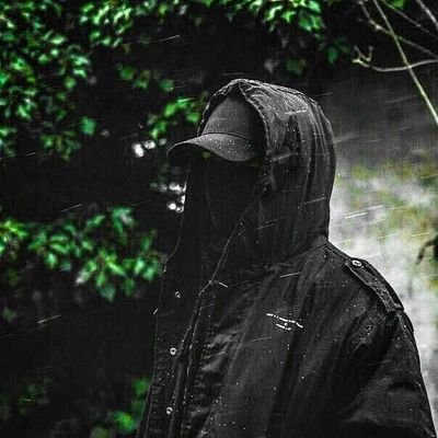 RaiyanAhme17405's profile picture. 