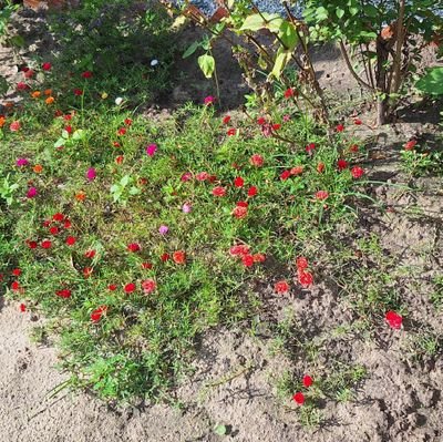 NamNguynHo48840's profile picture. thích đi chơi nghệ nhạc xem phim Việt Nam Thái Lan Hồng Kông Đài Loan Trung Quốc Singapore