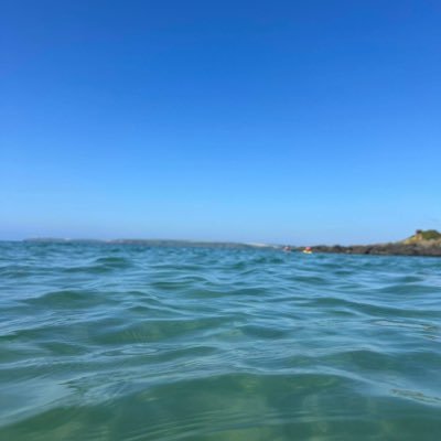 CarolGr44929372's profile picture. 