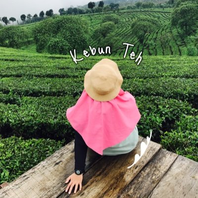 Pengen jadi orang dalam, biar bisa bantu banyak orang