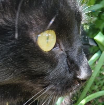 metalnamma's profile picture. 🖤🤘🖤   Don't judge a book by its cover.