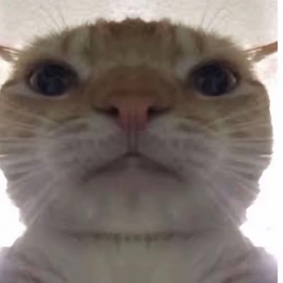 Sitbiit's profile picture. Average Ace of Hearts enjoyer💙. I say things sometimes