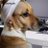 Jenapher_B's profile image