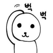 비팔 알림X 본계 아님