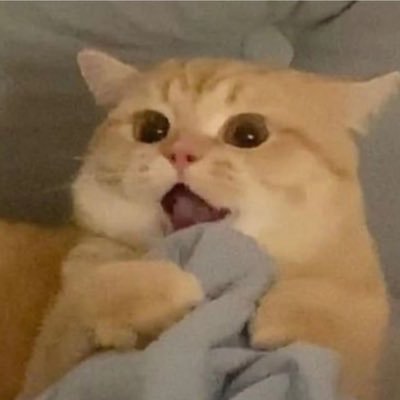 x03_12's profile picture. tbh idk what to post here.. maybe art? maybe sims stuff 💀