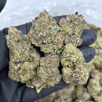 kingofexotics's profile picture. WE SHIPTOP SHELF BUDS,LEAN AND DISPOSABLE CARTS JOIN POTATO APP CHANNEL BELOW AND STAY UPDATED WITH EVERYTHING AVAILABLE
Potato https://t.co/ftbXAcTC88