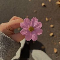 الحمدلله 💚 (@_aug_11) 's Twitter Profile