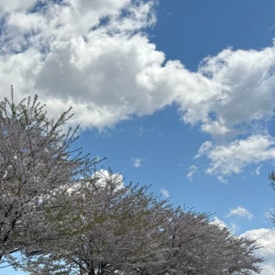 cyclemouhu's profile picture. Zwiftとロードバイクで痩せようと頑張る人 (成人女)