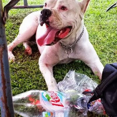 GregorioRo82150's profile picture. 