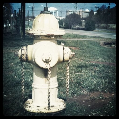 Plug_Creative's profile picture. 