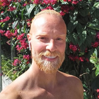 newdirec3's profile picture. speak:🇧🇷🇦🇷🇺🇸