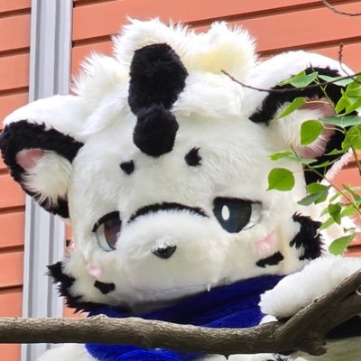 Furry | English ⭕️ 中文 ⭕️| ECNU 政治哲学博士生 |🐉: 克莱芒 🐻❄️: 卡鲁德