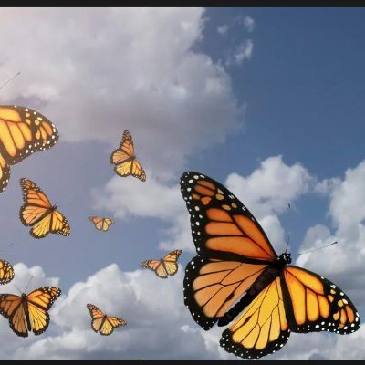 anneashf12's profile picture. Love Music- Concerts- Travelling✈️- Trump Girl- Cats Lover
Not a princess, but a queen with a crown of resilience.
#MAHA