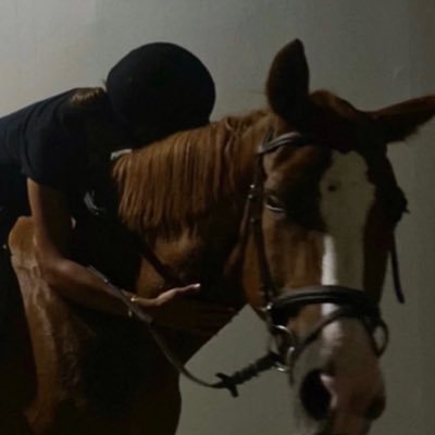 whoisrfrf's profile picture. 