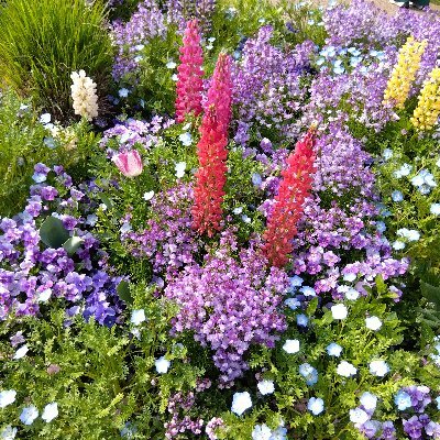 KxTWaCh9RV16046's profile picture. ファンアカウント/20↑
👹メツの刃/🌍️。/球体関節人形/SOFTBALLET/鉱物/雑多アカ