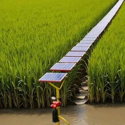 perestoga_'s profile picture. SUA Alumni, Agronomist