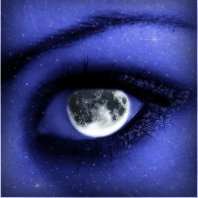 NoeBrav21424796's profile picture. I like drawing but I'm afraid to show my work, I'm a massive weeb but I love older anime, and I try to be more social