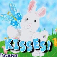 car (@bunnyballoonz) 's Twitter Profile Photo car (@bunnyballoonz) 's Twitter Profile Photo
